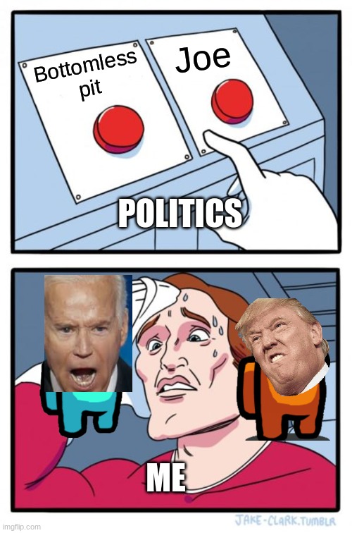 2020 election be like... | Joe; Bottomless pit; POLITICS; ME | image tagged in memes,two buttons,funny | made w/ Imgflip meme maker