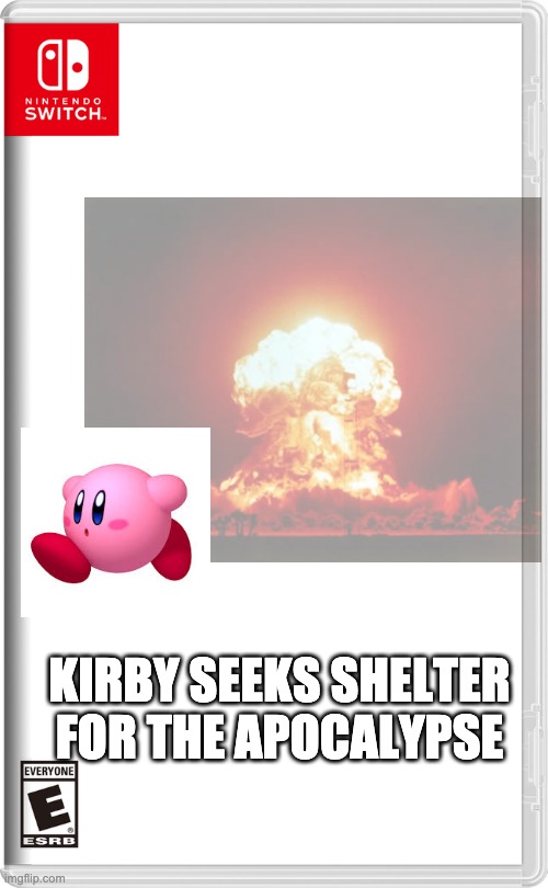 Nintendo Switch | KIRBY SEEKS SHELTER FOR THE APOCALYPSE | image tagged in nintendo switch | made w/ Imgflip meme maker
