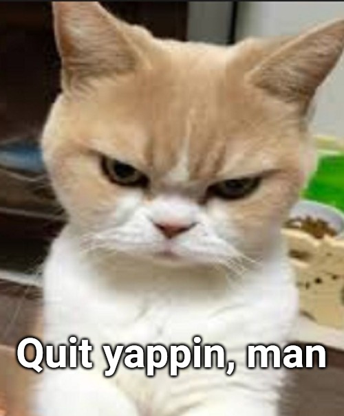 Biden cat | Quit yappin, man | image tagged in presidential debate,grumpy cat | made w/ Imgflip meme maker