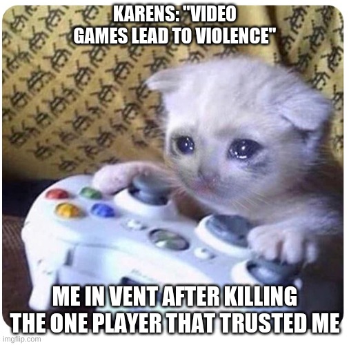 Sad cat Xbox | KARENS: "VIDEO GAMES LEAD TO VIOLENCE"; ME IN VENT AFTER KILLING THE ONE PLAYER THAT TRUSTED ME | image tagged in sad cat xbox | made w/ Imgflip meme maker
