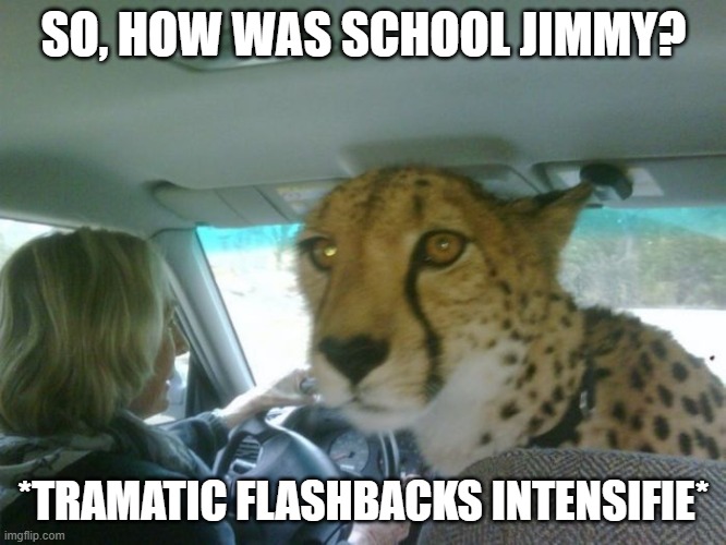 so how was school cheetah | SO, HOW WAS SCHOOL JIMMY? *TRAMATIC FLASHBACKS INTENSIFIE* | image tagged in so how was school cheetah | made w/ Imgflip meme maker