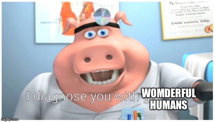 I diagnose you with gay | WOMDERFUL HUMANS | image tagged in i diagnose you with gay | made w/ Imgflip meme maker