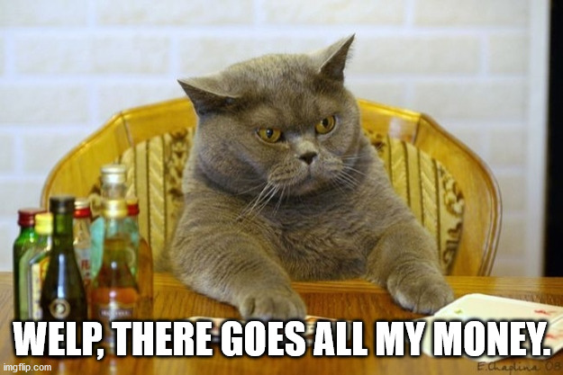 Gambling Sad Cat | WELP, THERE GOES ALL MY MONEY. | image tagged in gambling sad cat | made w/ Imgflip meme maker