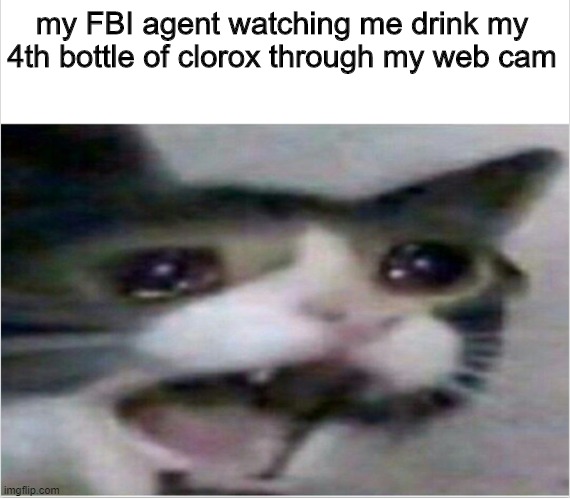 crying cat | my FBI agent watching me drink my 4th bottle of clorox through my web cam | image tagged in crying cat | made w/ Imgflip meme maker
