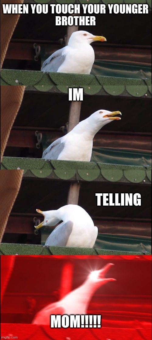 Inhaling Seagull | WHEN YOU TOUCH YOUR YOUNGER
BROTHER; IM; TELLING; MOM!!!!! | image tagged in memes,inhaling seagull | made w/ Imgflip meme maker