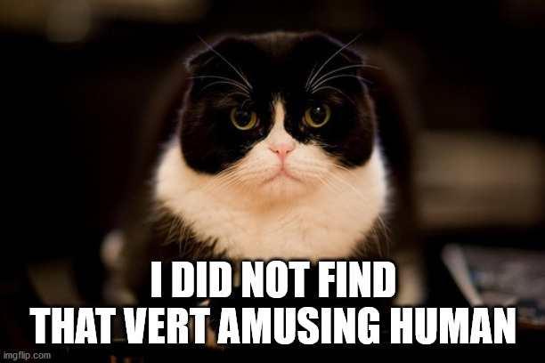 Upset cat | I DID NOT FIND THAT VERT AMUSING HUMAN | image tagged in upset cat | made w/ Imgflip meme maker
