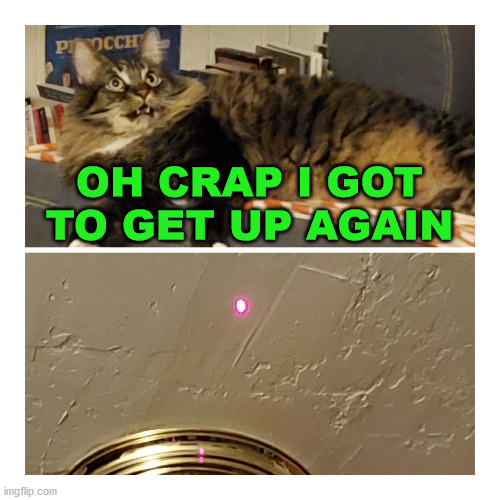 Red Dot | OH CRAP I GOT TO GET UP AGAIN | image tagged in red dot | made w/ Imgflip meme maker