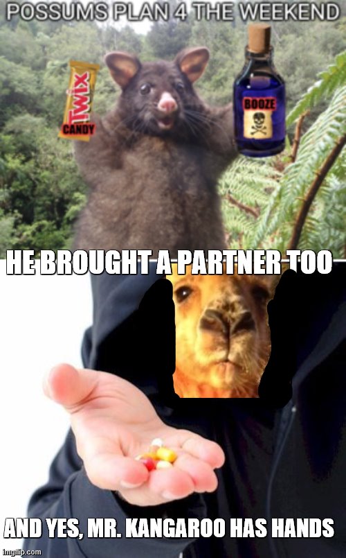HE BROUGHT A PARTNER TOO AND YES, MR. KANGAROO HAS HANDS | image tagged in sketchy drug dealer | made w/ Imgflip meme maker