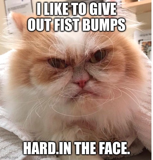 New Grumpy Cat | I LIKE TO GIVE OUT FIST BUMPS; HARD.IN THE FACE. | image tagged in new grumpy cat | made w/ Imgflip meme maker