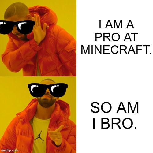 Drake Hotline Bling Meme | I AM A PRO AT MINECRAFT. SO AM I BRO. | image tagged in memes,drake hotline bling | made w/ Imgflip meme maker