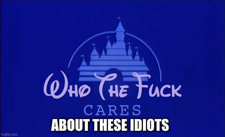Disney Who Cares | ABOUT THESE IDIOTS | image tagged in disney who cares | made w/ Imgflip meme maker