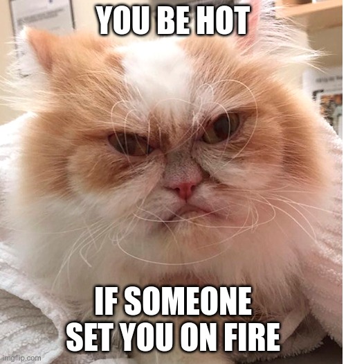 You'd be hot... | YOU BE HOT; IF SOMEONE SET YOU ON FIRE | image tagged in new grumpy cat | made w/ Imgflip meme maker