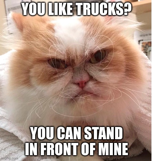 trucks | YOU LIKE TRUCKS? YOU CAN STAND IN FRONT OF MINE | image tagged in new grumpy cat | made w/ Imgflip meme maker