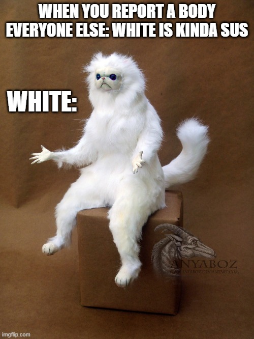 Persian Cat Room Guardian Single | WHEN YOU REPORT A BODY
EVERYONE ELSE: WHITE IS KINDA SUS; WHITE: | image tagged in memes,persian cat room guardian single,among us | made w/ Imgflip meme maker