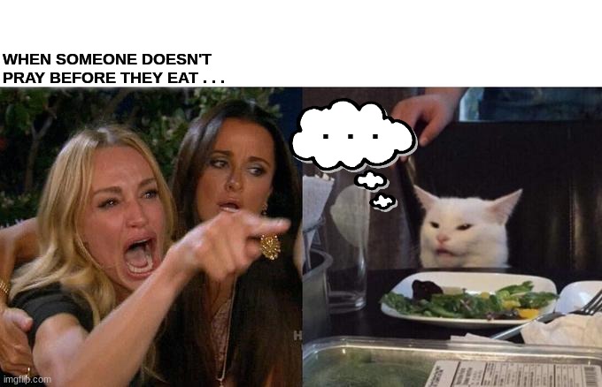 Imao | WHEN SOMEONE DOESN'T PRAY BEFORE THEY EAT . . . . . . | image tagged in memes,woman yelling at cat | made w/ Imgflip meme maker
