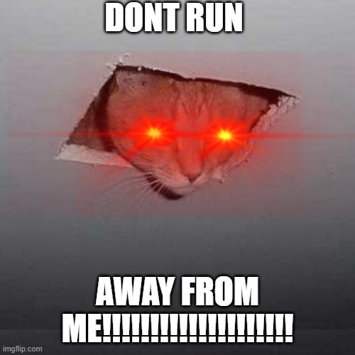 UwU | DONT RUN; AWAY FROM ME!!!!!!!!!!!!!!!!!!!! | image tagged in memes,ceiling cat | made w/ Imgflip meme maker