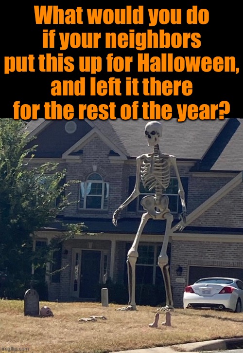 Giant Skeleton For Sale At Home Depot | What would you do if your neighbors put this up for Halloween, and left it there for the rest of the year? | image tagged in funny memes,halloween | made w/ Imgflip meme maker