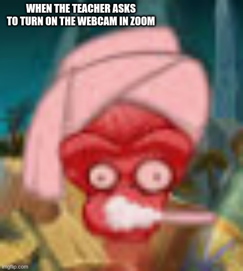 Zoomboss | WHEN THE TEACHER ASKS TO TURN ON THE WEBCAM IN ZOOM | image tagged in plants vs zombies,zoom | made w/ Imgflip meme maker