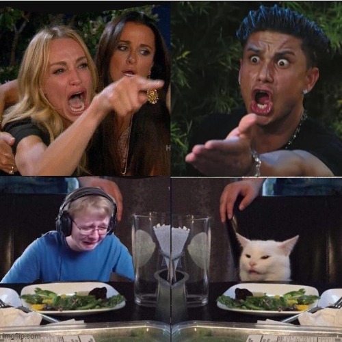 Four panel Taylor Armstrong Pauly D CallmeCarson Cat | image tagged in four panel taylor armstrong pauly d callmecarson cat | made w/ Imgflip meme maker