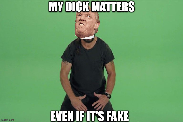 Shia labeouf JUST DO IT | MY DICK MATTERS; EVEN IF IT'S FAKE | image tagged in shia labeouf just do it | made w/ Imgflip meme maker