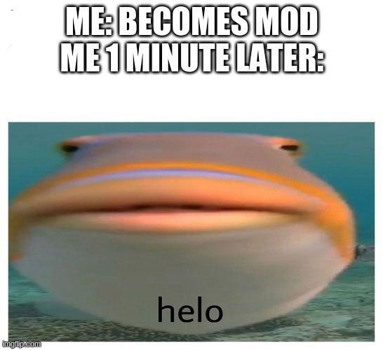 reeeeeeeeeeeeeeeeeeeeeeeeeeeeeet |  ME: BECOMES MOD
ME 1 MINUTE LATER: | image tagged in helo fish | made w/ Imgflip meme maker