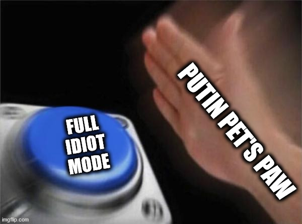 Blank Nut Button Meme | PUTIN PET'S PAW FULL
IDIOT
MODE | image tagged in memes,blank nut button | made w/ Imgflip meme maker