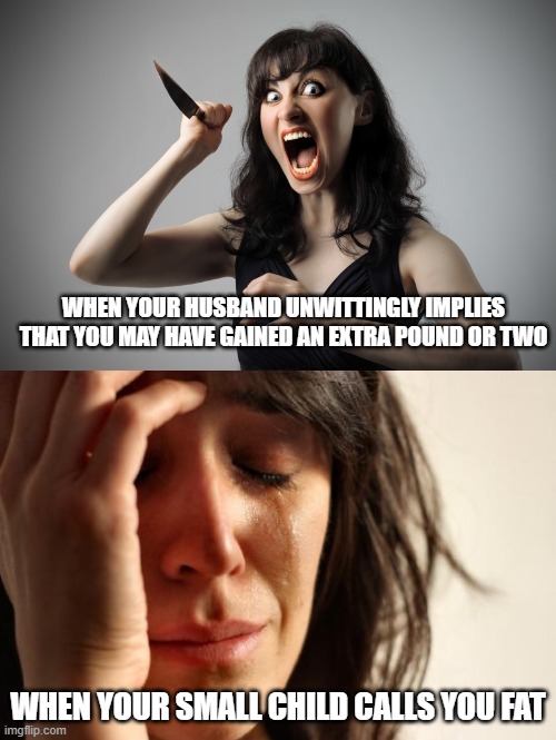 men vs boys | WHEN YOUR HUSBAND UNWITTINGLY IMPLIES THAT YOU MAY HAVE GAINED AN EXTRA POUND OR TWO; WHEN YOUR SMALL CHILD CALLS YOU FAT | image tagged in memes,first world problems,angry woman,fat,reactions | made w/ Imgflip meme maker