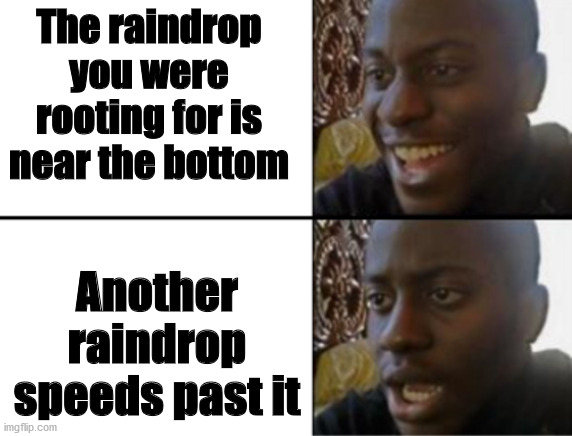 AAAAAAAAAAAAAAAAAAAAAAAH | The raindrop you were rooting for is near the bottom Another raindrop speeds past it | image tagged in oh yeah oh no | made w/ Imgflip meme maker