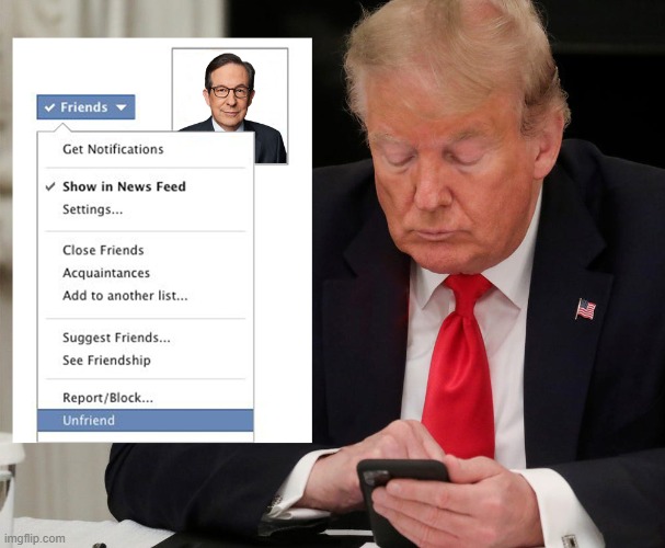 I unfriend you. | image tagged in donald trump,chris wallace,unfriend,memes | made w/ Imgflip meme maker