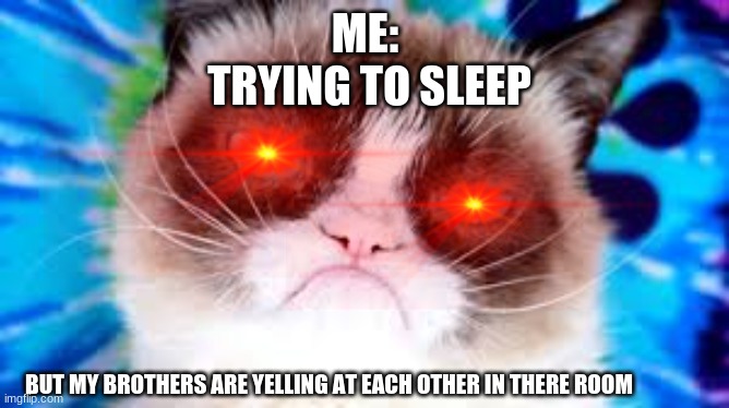 ME:
 TRYING TO SLEEP; BUT MY BROTHERS ARE YELLING AT EACH OTHER IN THERE ROOM | image tagged in grumpy cat,trying to sleep,meme | made w/ Imgflip meme maker