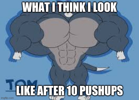 buff tom | WHAT I THINK I LOOK; LIKE AFTER 10 PUSHUPS | image tagged in tom and jerry | made w/ Imgflip meme maker