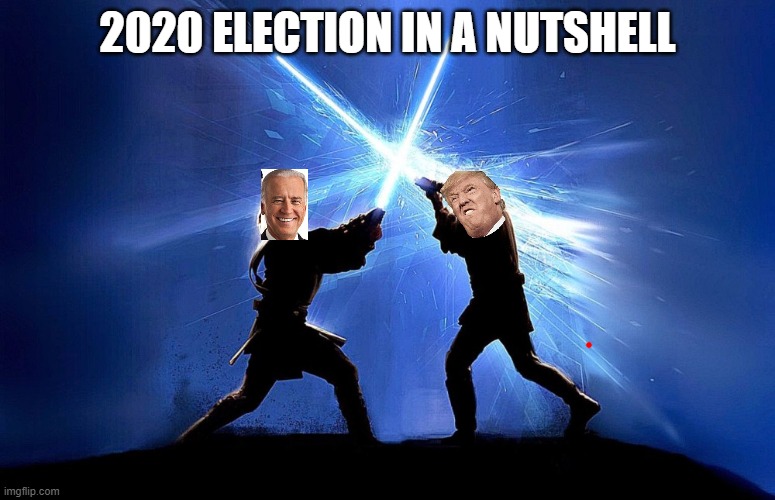 lightsaber battle | 2020 ELECTION IN A NUTSHELL | image tagged in lightsaber battle | made w/ Imgflip meme maker