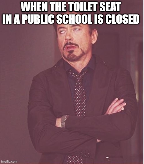 every day at school be like | WHEN THE TOILET SEAT IN A PUBLIC SCHOOL IS CLOSED | image tagged in memes,face you make robert downey jr,school | made w/ Imgflip meme maker