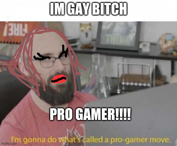 Pro Gamer move | IM GAY BITCH; PRO GAMER!!!! | image tagged in pro gamer move | made w/ Imgflip meme maker