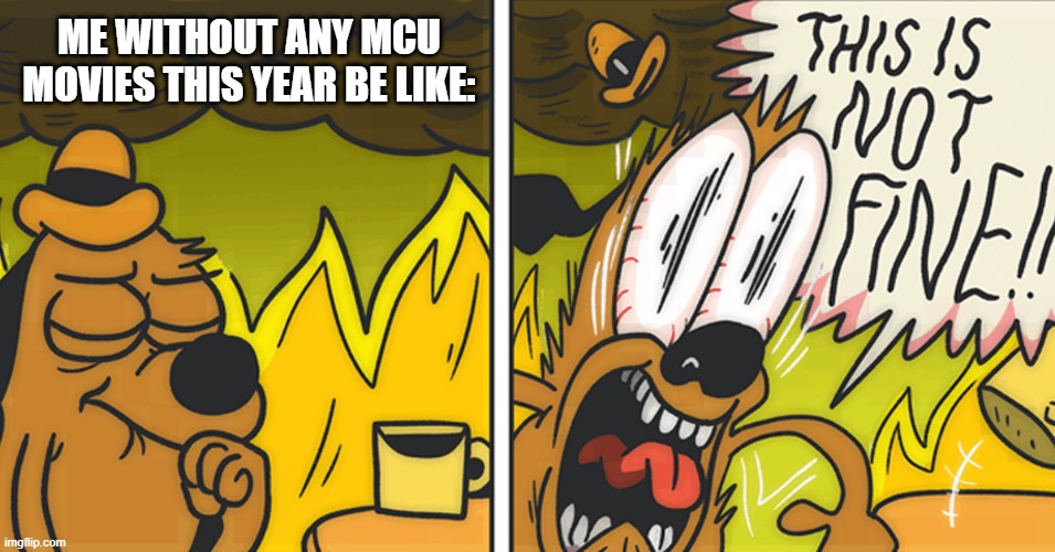 IT IS NOT OKIE DOKIE!!!!! | ME WITHOUT ANY MCU MOVIES THIS YEAR BE LIKE: | image tagged in this is not fine,marvel cinematic universe | made w/ Imgflip meme maker