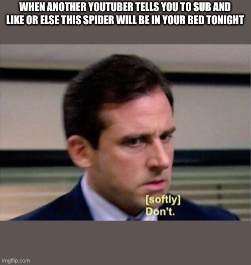 Michael Scott Don't Softly | WHEN ANOTHER YOUTUBER TELLS YOU TO SUB AND LIKE OR ELSE THIS SPIDER WILL BE IN YOUR BED TONIGHT | image tagged in michael scott don't softly,youtuber,youtube,michael scott | made w/ Imgflip meme maker