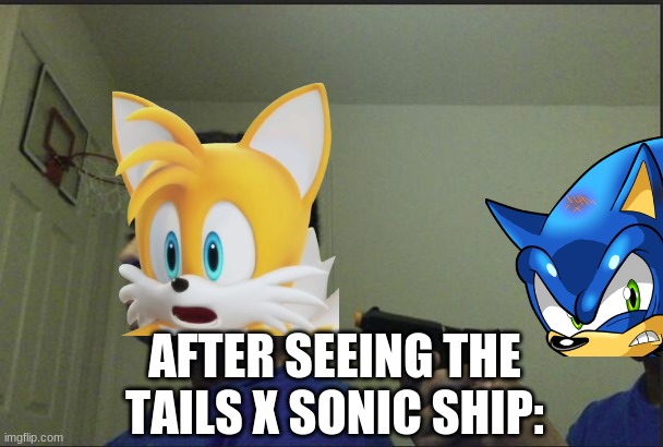 AFTER SEEING THE TAILS X SONIC SHIP: | image tagged in memes,dank memes,sonic,tails | made w/ Imgflip meme maker