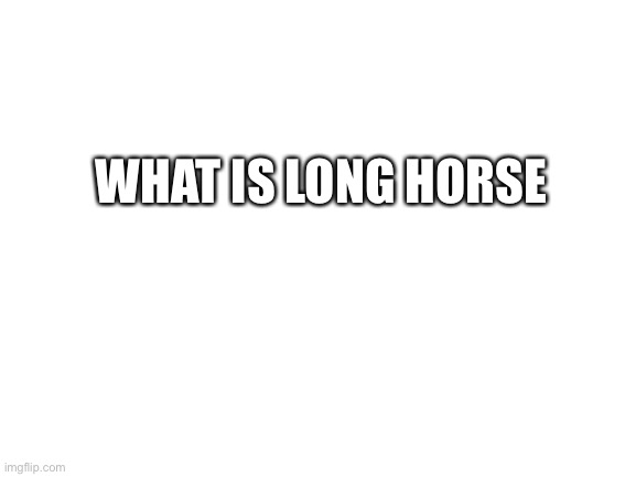 Blank White Template | WHAT IS LONG HORSE | image tagged in blank white template | made w/ Imgflip meme maker