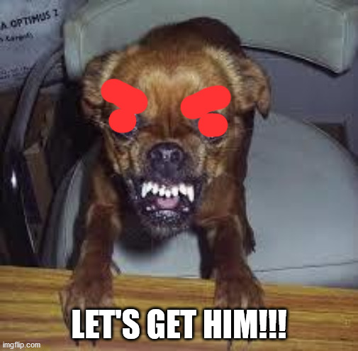 mad dog! | LET'S GET HIM!!! | image tagged in mad dog | made w/ Imgflip meme maker