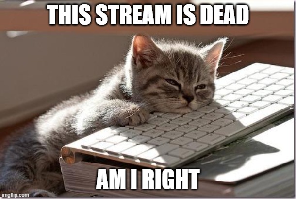 why? | THIS STREAM IS DEAD; AM I RIGHT | image tagged in bored keyboard cat | made w/ Imgflip meme maker