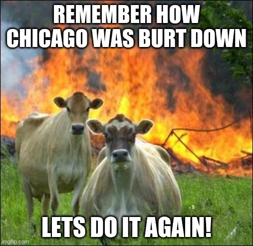 Evil Cows Meme | REMEMBER HOW CHICAGO WAS BURT DOWN; LETS DO IT AGAIN! | image tagged in memes,evil cows | made w/ Imgflip meme maker