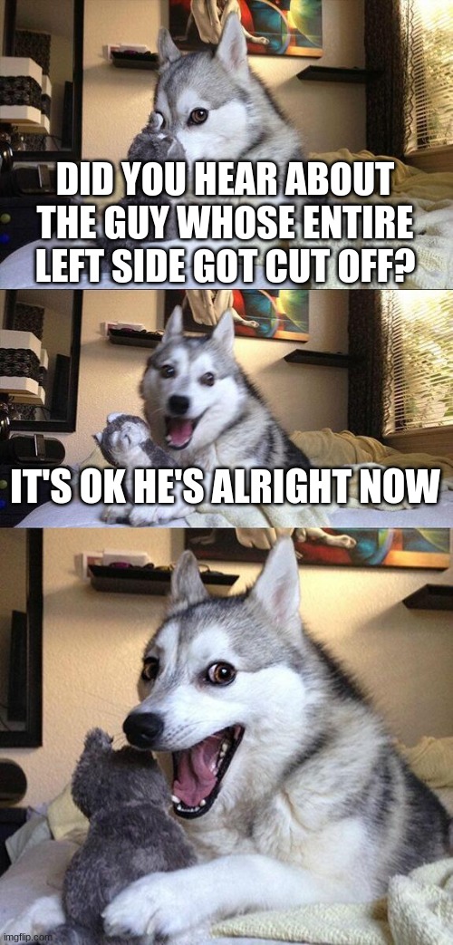 yee | DID YOU HEAR ABOUT THE GUY WHOSE ENTIRE LEFT SIDE GOT CUT OFF? IT'S OK HE'S ALRIGHT NOW | image tagged in memes,bad pun dog | made w/ Imgflip meme maker