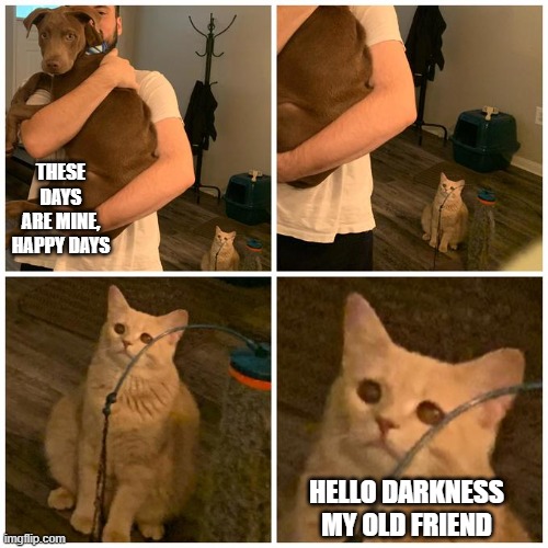 sad cat dog hold | THESE DAYS ARE MINE, HAPPY DAYS; HELLO DARKNESS MY OLD FRIEND | image tagged in sad cat dog hold | made w/ Imgflip meme maker