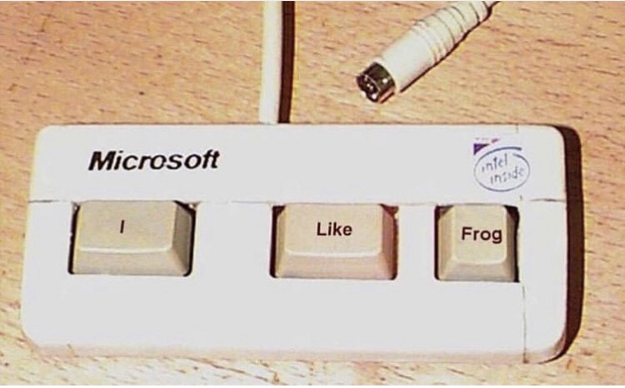 I Like Frog Keyboard Blank Meme Template