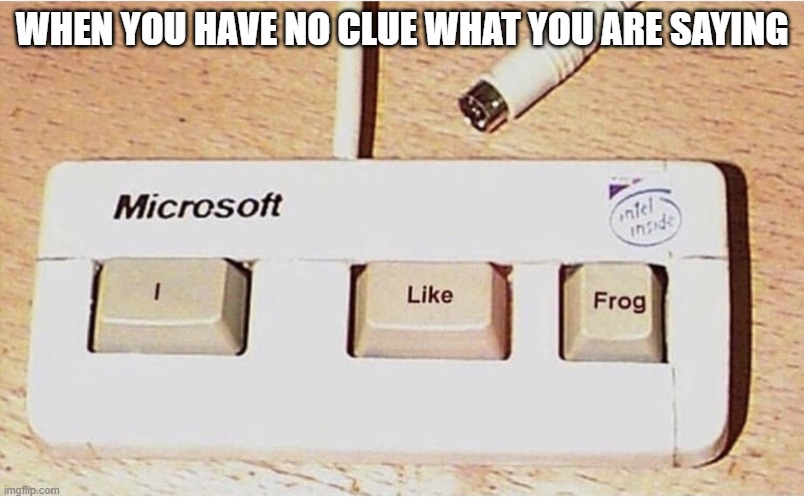 Frogggggggggggggggggggggggggggggggggggggg | WHEN YOU HAVE NO CLUE WHAT YOU ARE SAYING | image tagged in i like frog keyboard | made w/ Imgflip meme maker