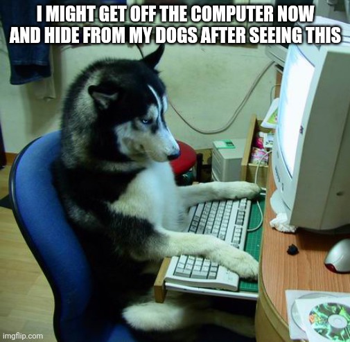 I Have No Idea What I Am Doing Meme | I MIGHT GET OFF THE COMPUTER NOW AND HIDE FROM MY DOGS AFTER SEEING THIS | image tagged in memes,i have no idea what i am doing | made w/ Imgflip meme maker