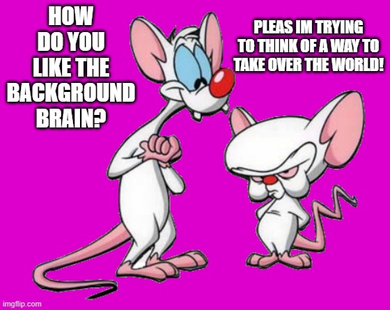 pinky and the brain | PLEAS IM TRYING TO THINK OF A WAY TO TAKE OVER THE WORLD! HOW DO YOU LIKE THE BACKGROUND BRAIN? | image tagged in pinky and the brain,no reason | made w/ Imgflip meme maker