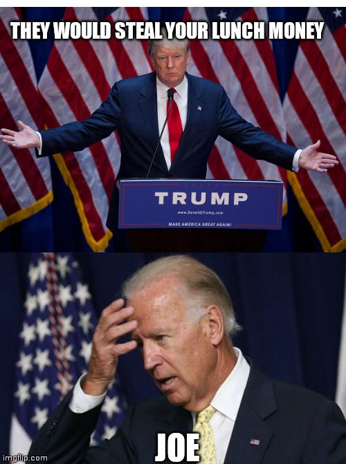 THEY WOULD STEAL YOUR LUNCH MONEY; JOE | image tagged in donald trump | made w/ Imgflip meme maker