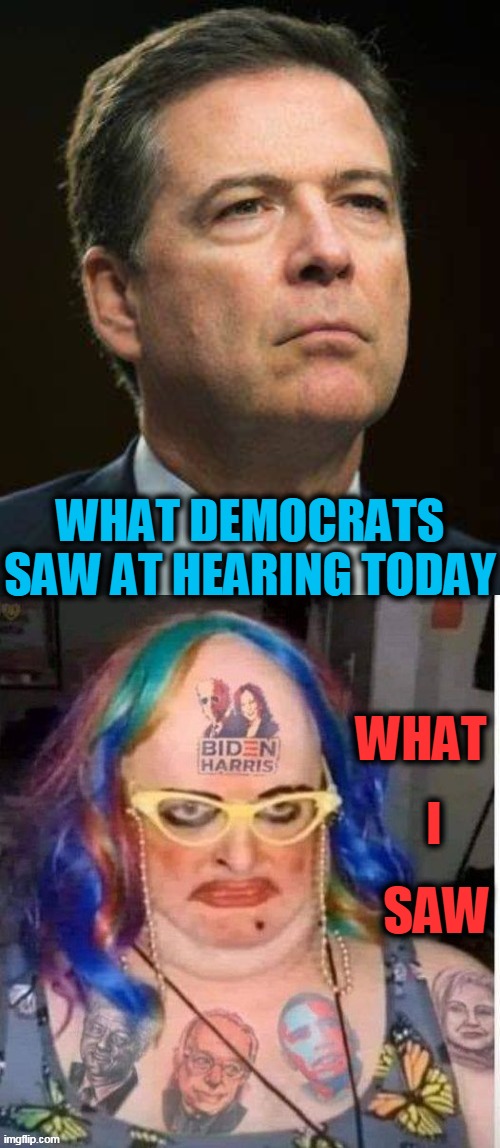 James Comey, Liar, "Not That I Recall,  I Don't Know,  I Don't Remember" | WHAT DEMOCRATS SAW AT HEARING TODAY; WHAT; I; SAW | image tagged in politics,political meme,fbi director james comey,hearing,democratic socialism,liberal bias | made w/ Imgflip meme maker