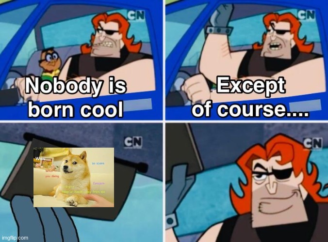 Nobody is born cool | image tagged in nobody is born cool,memes | made w/ Imgflip meme maker